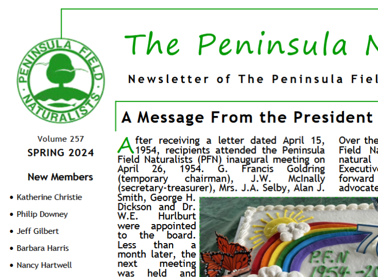 newsletter headline