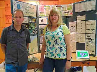 butterfly festival display
